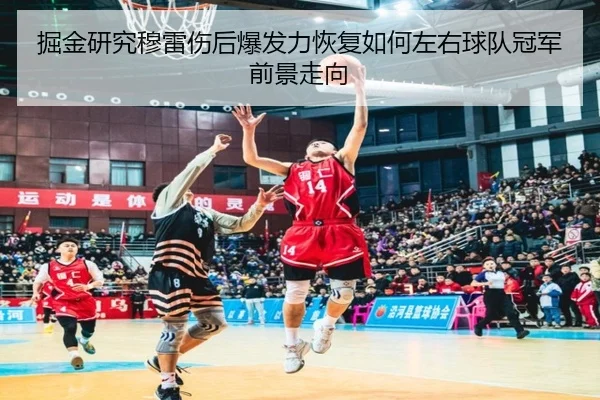 掘金研究穆雷伤后爆发力恢复如何左右球队冠军前景走向