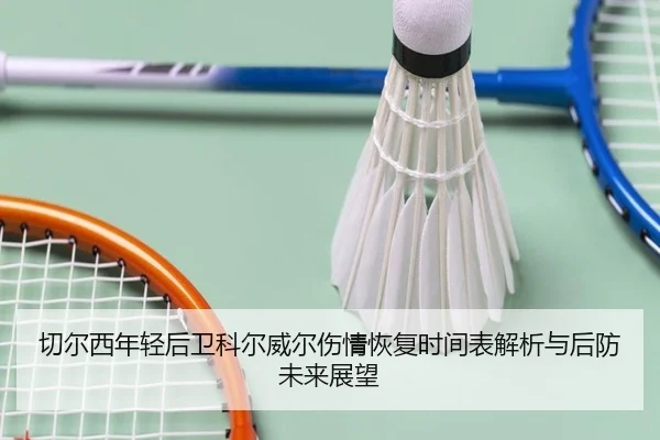 切尔西年轻后卫科尔威尔伤情恢复时间表解析与后防未来展望