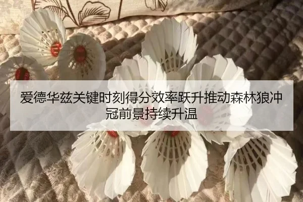 爱德华兹关键时刻得分效率跃升推动森林狼冲冠前景持续升温